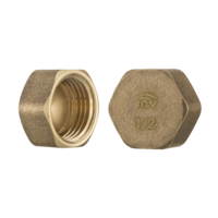 Латунна пробка внутр. різьба 3/4'' ZM-13-020 Зображення