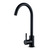 Змішувач для кухні Invena Resta BZ-58-004, чорний